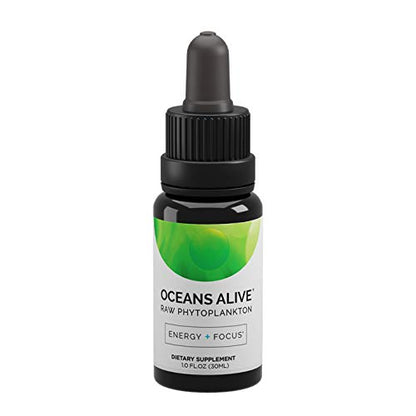 Activation Products Oceans Alive Marine Phytoplankton - Pure Phytoplankton Supplement Boosts Mind and Energy - Ultimate Contaminant Free Superfood, 30ml