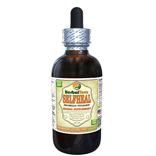 Selfheal (Prunella Vulgaris) Tincture, Organic Dried Herb Liquid Extract (Brand Name: HerbalTerra, Proudly Made in USA) 4 fl.oz (120 ml)