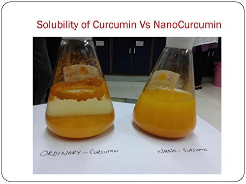 Nano Curcumin - 60 Caps - 500 mg