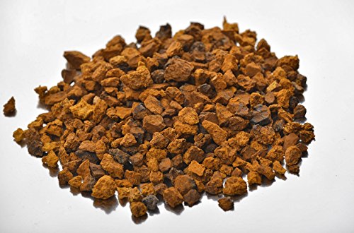 Siberian Chaga Mushroom Chunks, Premium Quality, Wild Harvested, 100 Grams (3.5 OZ)