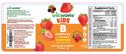 Lifeable Vitamin B Complex with Vitamin C for Kids  Great Tasting Natural Flavor Gummy Supplement  with Niacin, B6, Folic Acid, B12, Biotin & Pantothenic Acid  Energy and Nerve Support, 90 Gummies