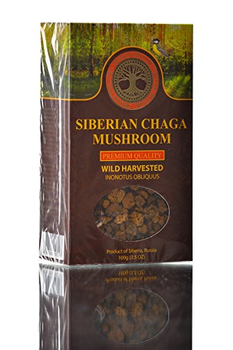 Siberian Chaga Mushroom Chunks, Premium Quality, Wild Harvested, 100 Grams (3.5 OZ)