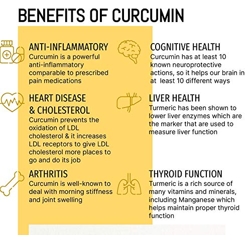 NANOCUMIN Super Food Curcumin Nano-Cumin Liquid Type (High Absorption Liquid Turmeric) (32ea)