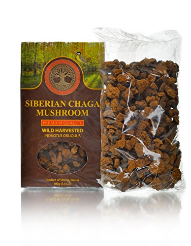 Siberian Chaga Mushroom Chunks, Premium Quality, Wild Harvested, 100 Grams (3.5 OZ)