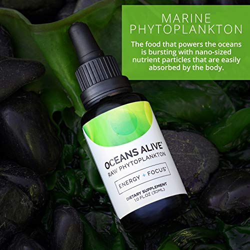 Activation Products Oceans Alive Marine Phytoplankton - Pure Phytoplankton Supplement Boosts Mind and Energy - Ultimate Contaminant Free Superfood, 30ml