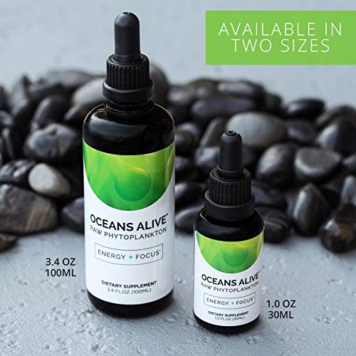 Activation Products Oceans Alive Marine Phytoplankton - Pure Phytoplankton Supplement Boosts Mind and Energy - Ultimate Contaminant Free Superfood, 30ml