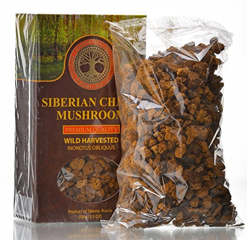 Siberian Chaga Mushroom Chunks, Premium Quality, Wild Harvested, 100 Grams (3.5 OZ)