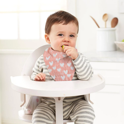 ADEN + ANAIS White Lable Classic Bandana Bib - Flock Together