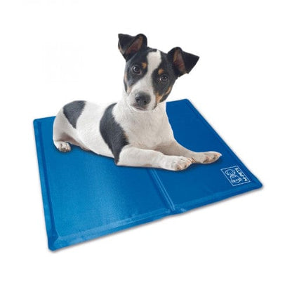 M-PETS Frozen Cooling Mat